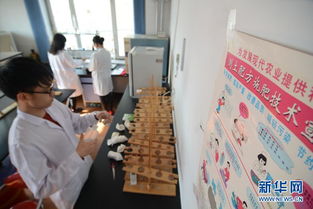 科技赋能 精准施肥 测土配肥服务为春耕保驾护航