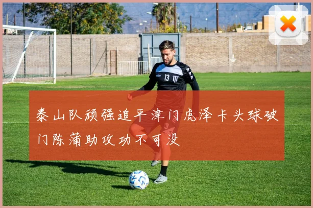 泰山队顽强追平津门虎泽卡头球破门陈蒲助攻功不可没