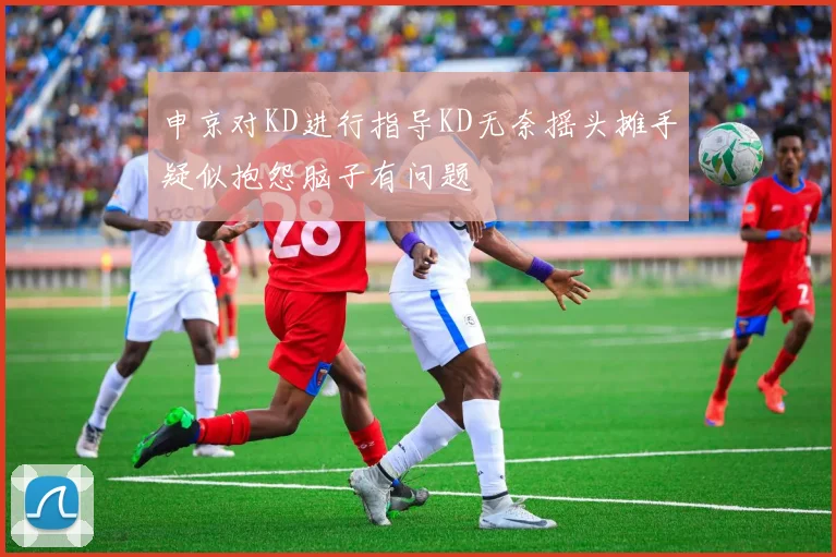 申京对KD进行指导KD无奈摇头摊手疑似抱怨脑子有问题